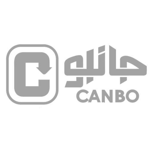 لوگی بانک انصار