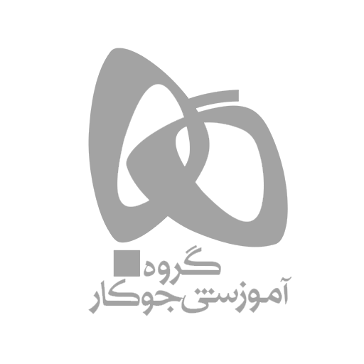 لوگی بانک انصار